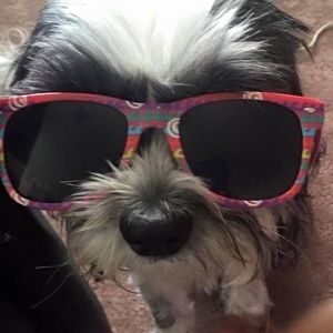 Meet your Posher, Cara